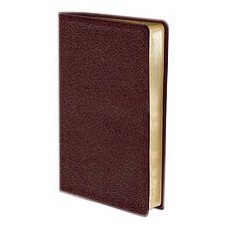 NIV Thinline Bible