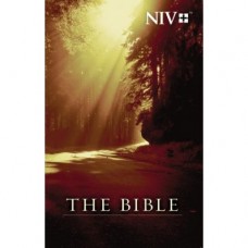 NIV Outreach Bible