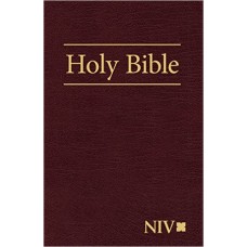 NIV HOLY BIBLE(200172)